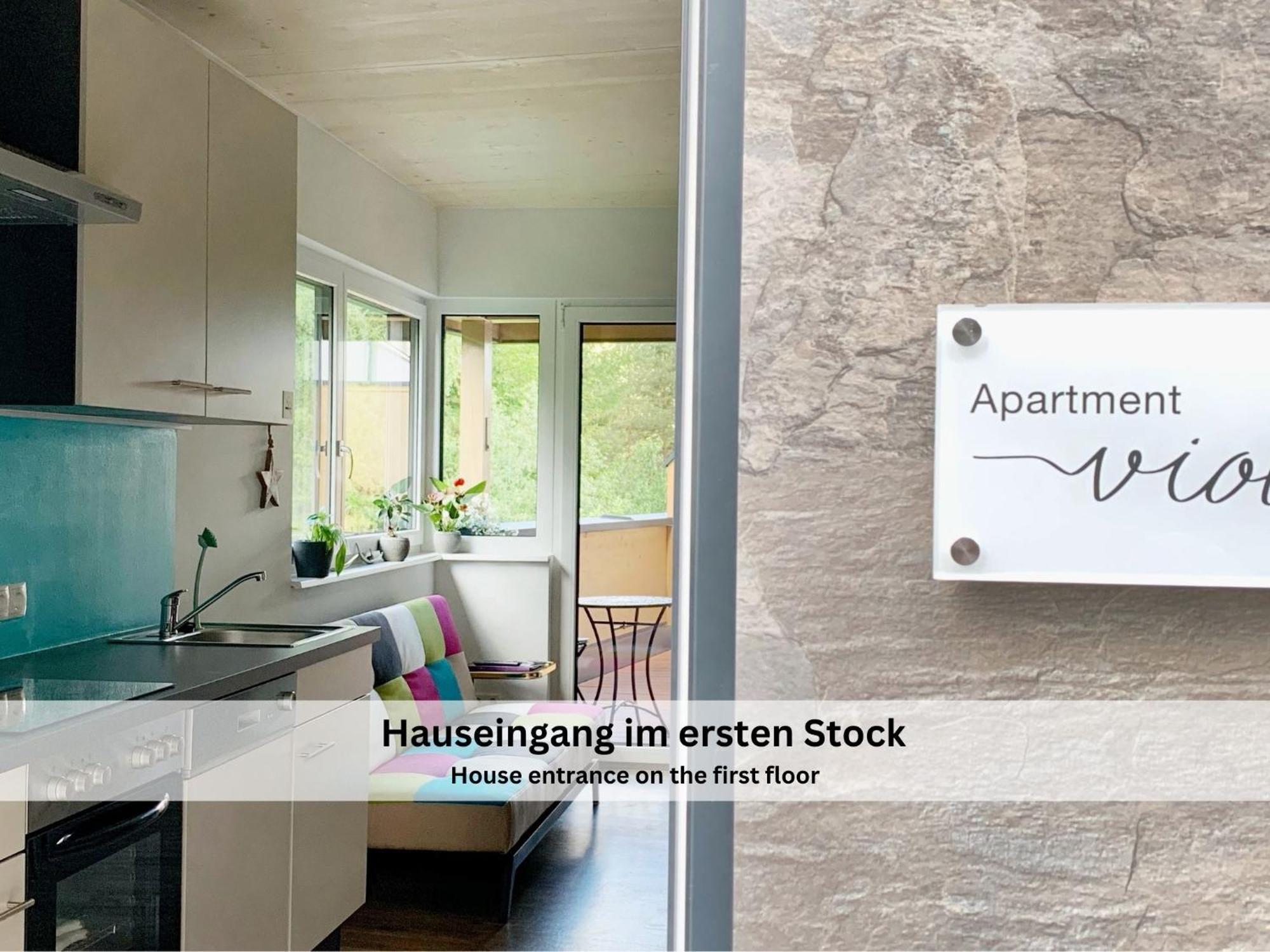Apartments Viola Altenmarkt 阿尔滕马克特蓬高 外观 照片